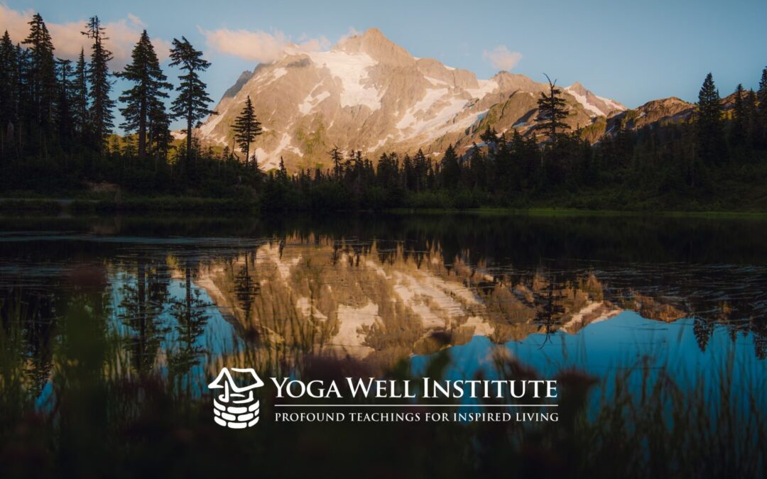 Yoga for Clarity | Yoga Well Institute