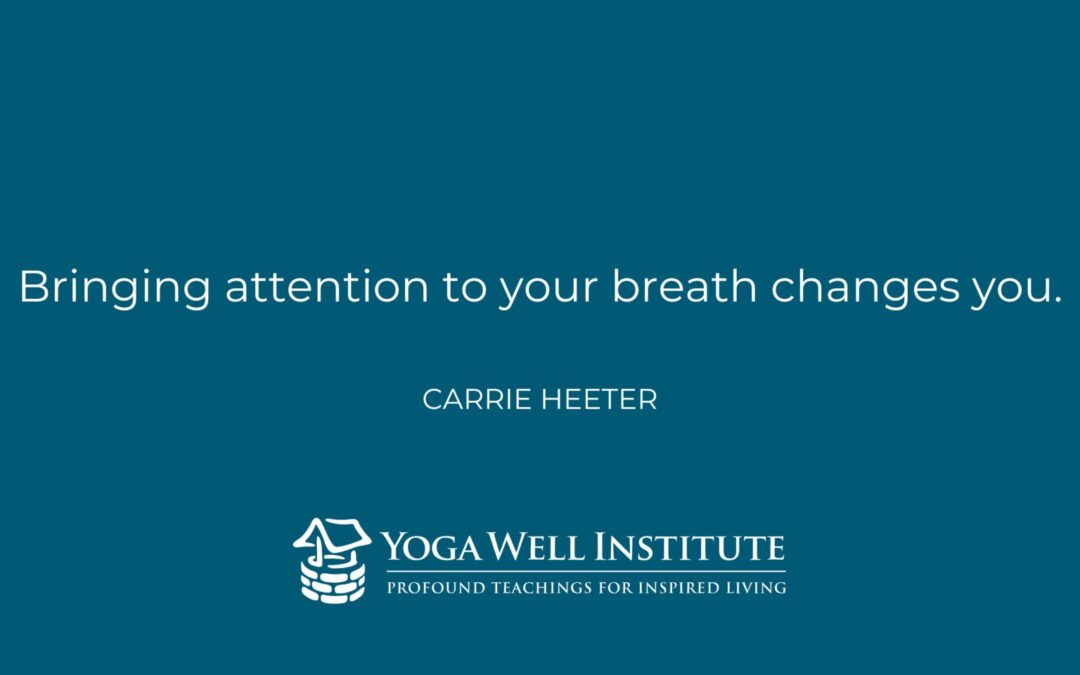 Carrie Heeter Quote 