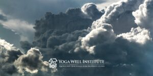 Yoga Well Institute